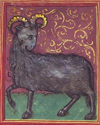 aries